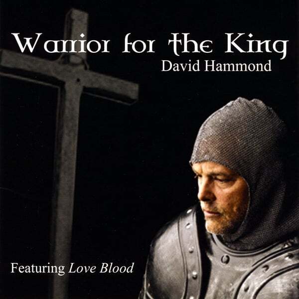 Cover art for Warrior For the King